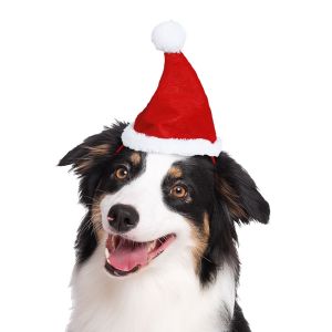 Gorro navidad mascotas